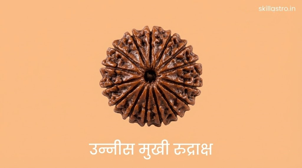 Benefits of 19 Mukhi Rudraksha: Shiva Avatar Form, Enemy Shield, Wearing Method | Skill Astro