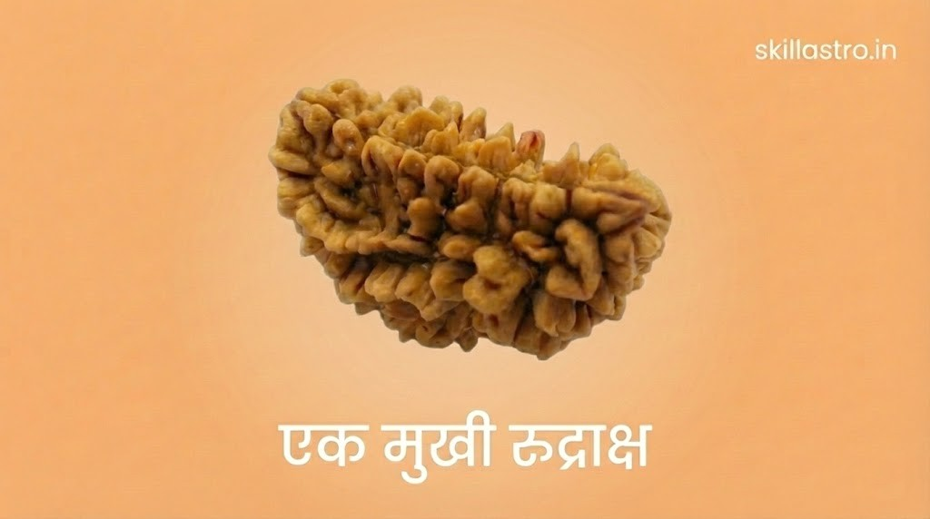 1 Mukhi Rudraksha Benefits, Advantages, and Wearing Method | Skill Astro