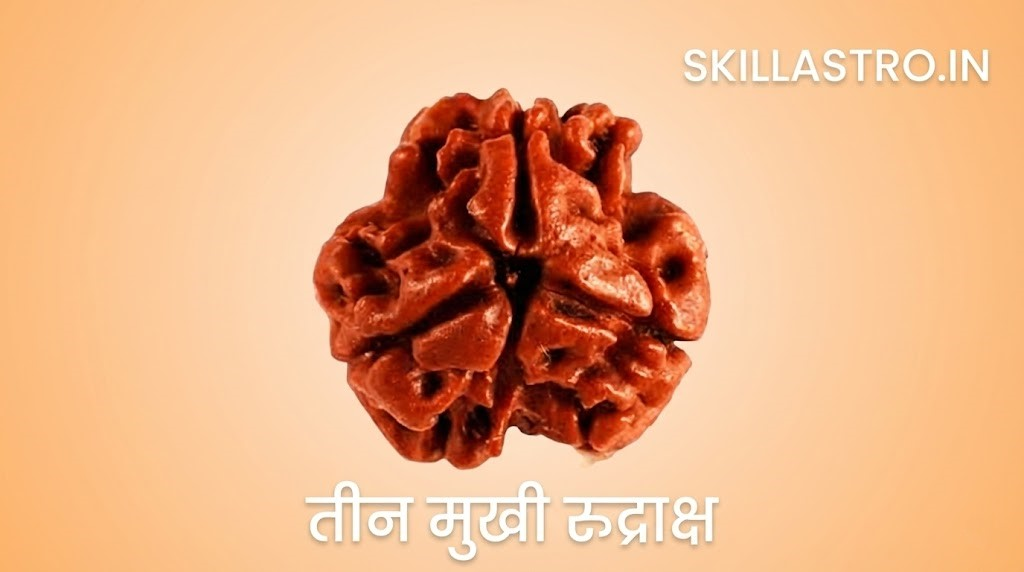3 Mukhi Rudraksha Benefits, Mantra Chanting, and Zodiac Effects | Skill Astro