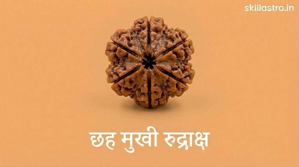 6 Mukhi Rudraksha Benefits: Brahma Form, Wearing Method, Rules, and Price | Skill Astro