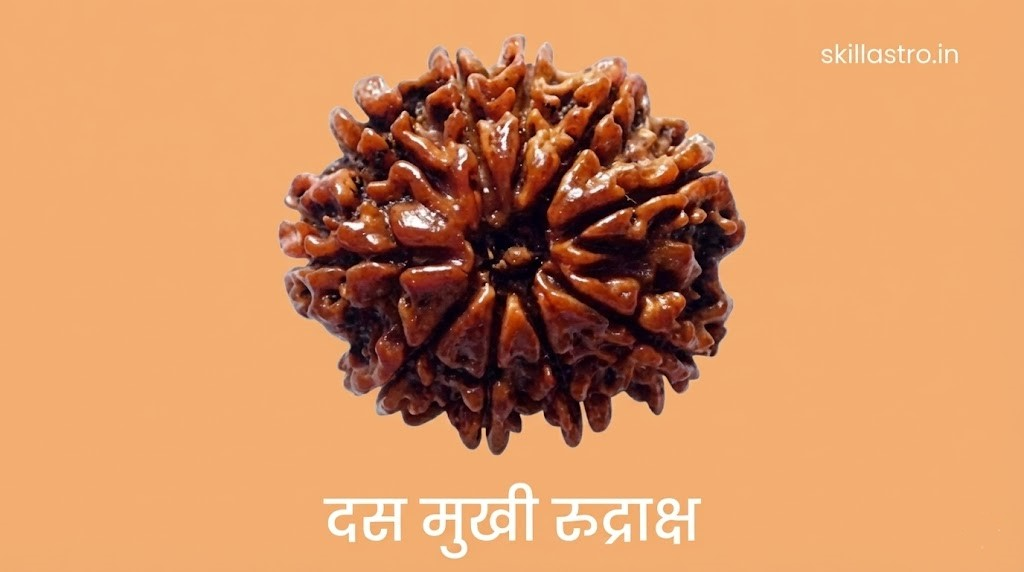 10 Mukhi Rudraksha Benefits: Lord Vishnu Form, Protection Shield, Wearing Method | Skill Astro