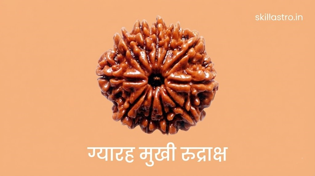 11 Mukhi Rudraksha Benefits: Hanuman Ji