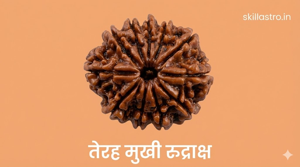 13 Mukhi Rudraksha Benefits: Indra Dev Form, Attraction Power, Wearing Method | Skill Astro