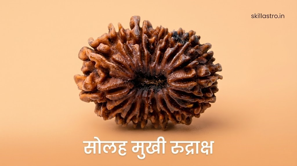 16 Mukhi Rudraksha Benefits: Mahamrityunjaya Shiva Form, Immortality Shield | Skill Astro